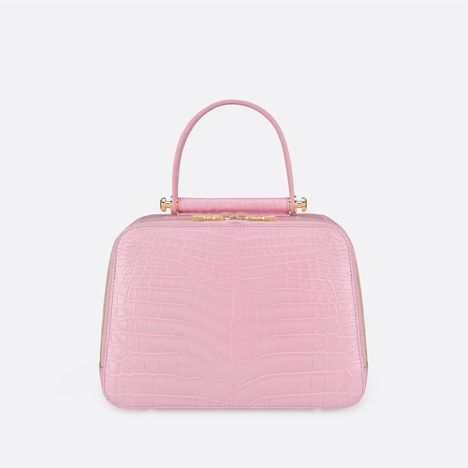 Aldo amza online bag